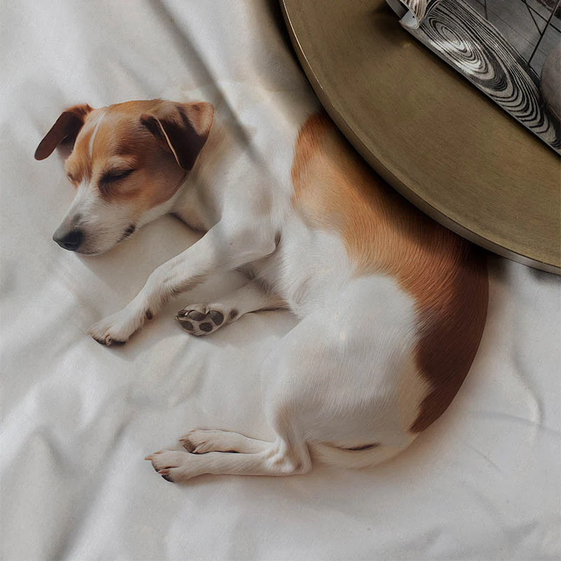 Dekbedovertrek Katoen-Satijn - Harvey - Image 3